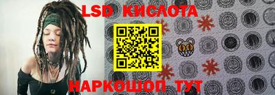 шишки Кимры