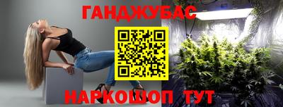шишки Кимры
