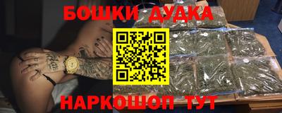 шишки Кимры