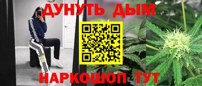 шишки Кимры