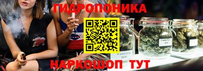 шишки Кимры